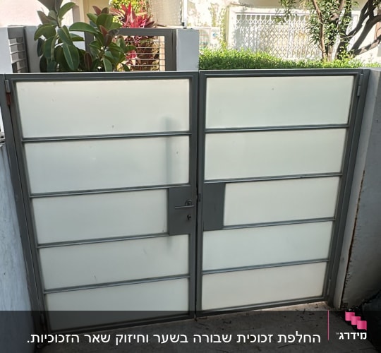 שער זכוכית בחצר עם צמחייה מסביב